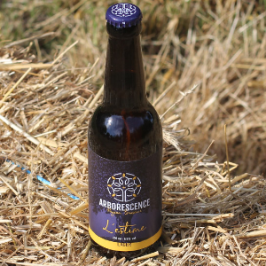 BIERE blonde "Solstice" - 33 cl - 5 % vol. d'alcool -
